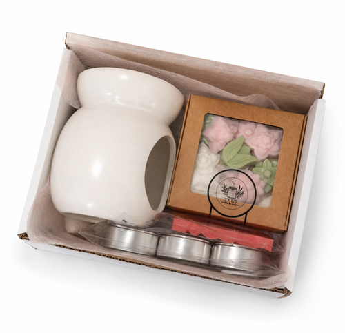 KIT EXPERIÊNCIA WAX MELT
