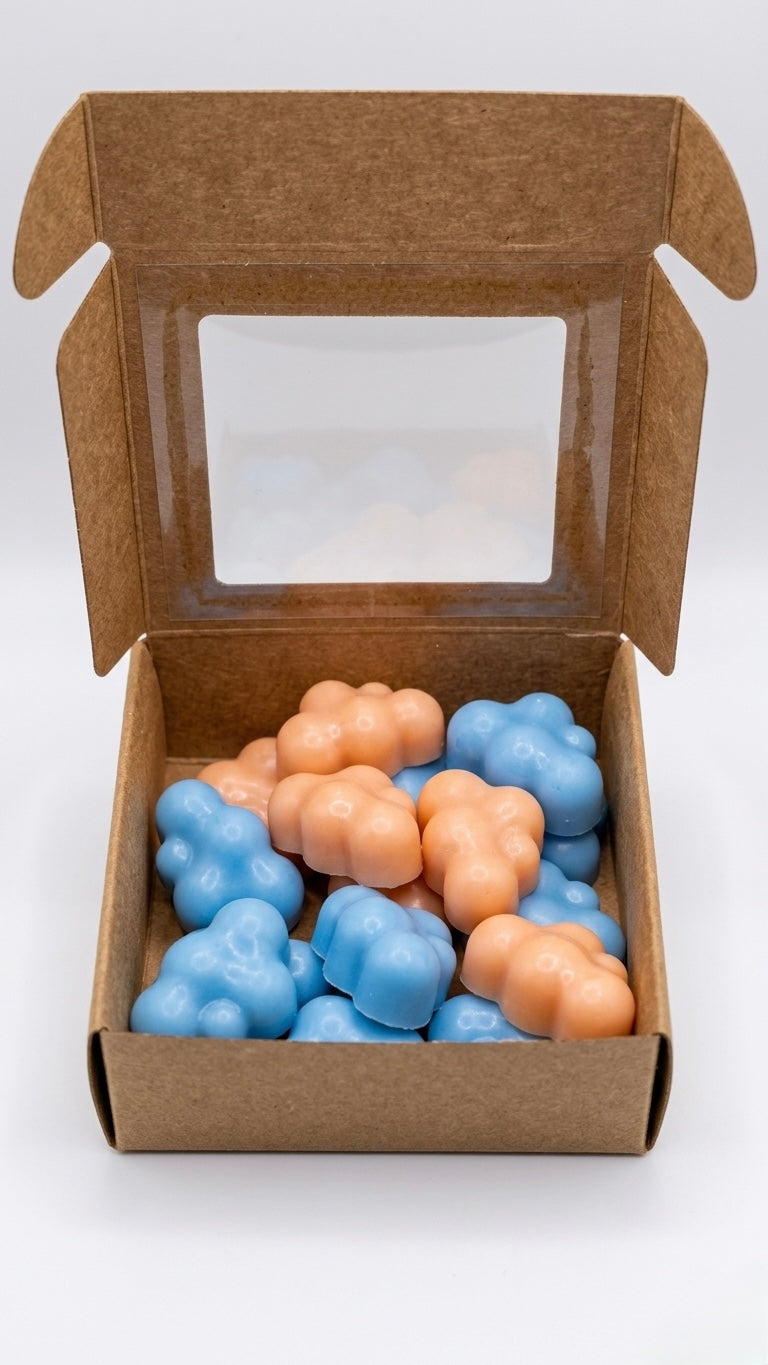 KIT EXPERIÊNCIA WAX MELT